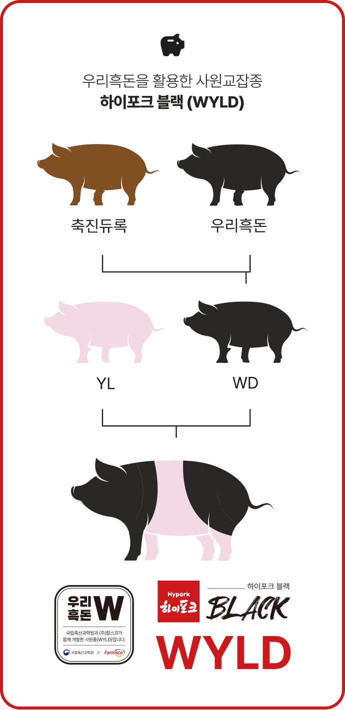 우리흑돈 W 상세
